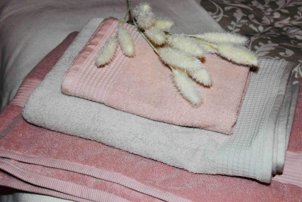 Apartamento El Picu Collanzo المظهر الخارجي الصورة