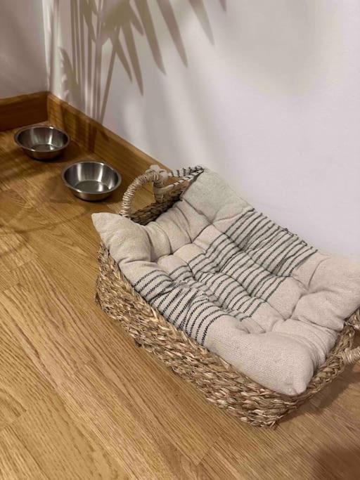 Apartamento El Picu Collanzo المظهر الخارجي الصورة