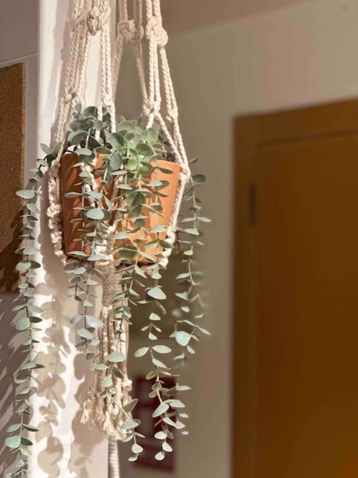 Apartamento El Picu Collanzo المظهر الخارجي الصورة
