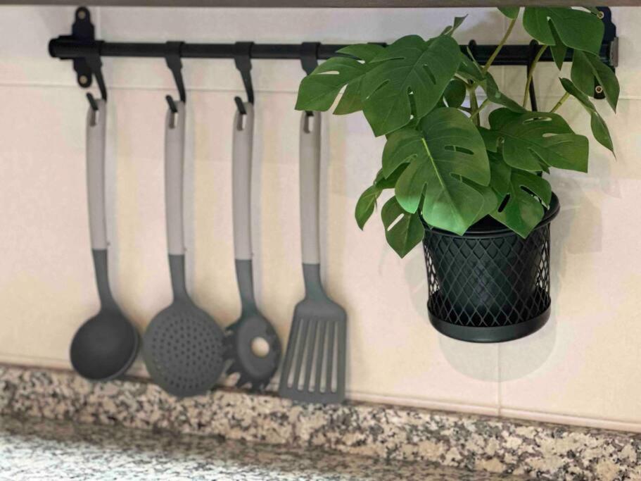 Apartamento El Picu Collanzo المظهر الخارجي الصورة