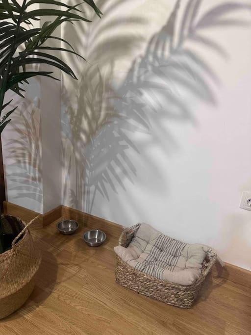 Apartamento El Picu Collanzo المظهر الخارجي الصورة